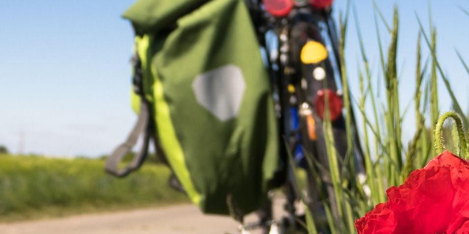 Mohnblume vor Weizen Feld, im Hintergrund Fahrrad mit Tasche, blauer Himmer im Sommer